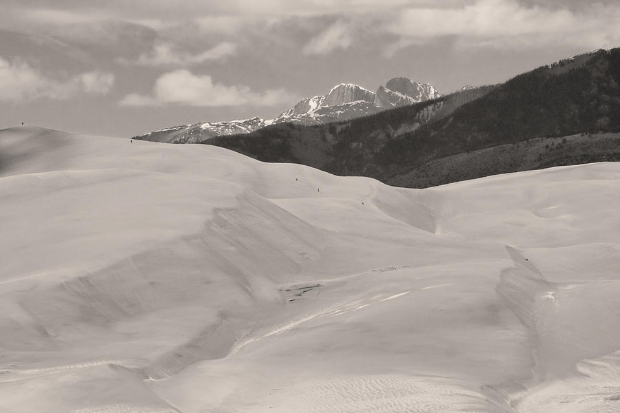 The Great Sand Dunes  BW Sepia Photograph by James BO Insogna