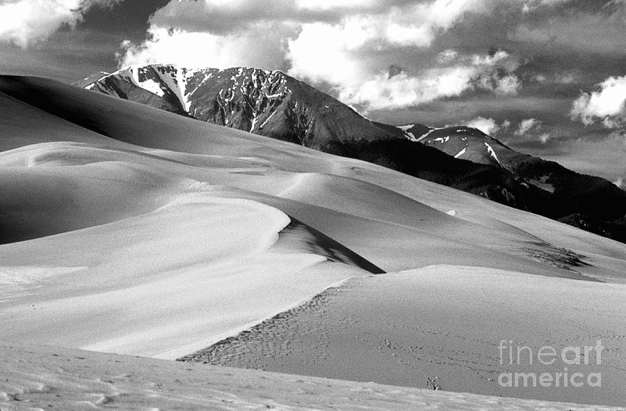 The Great  Sand Dunes Colorado BW Photograph by James BO Insogna