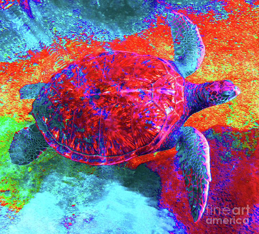 Turtle Photograph - The Great Sea Turtle in Abstract by D Davila