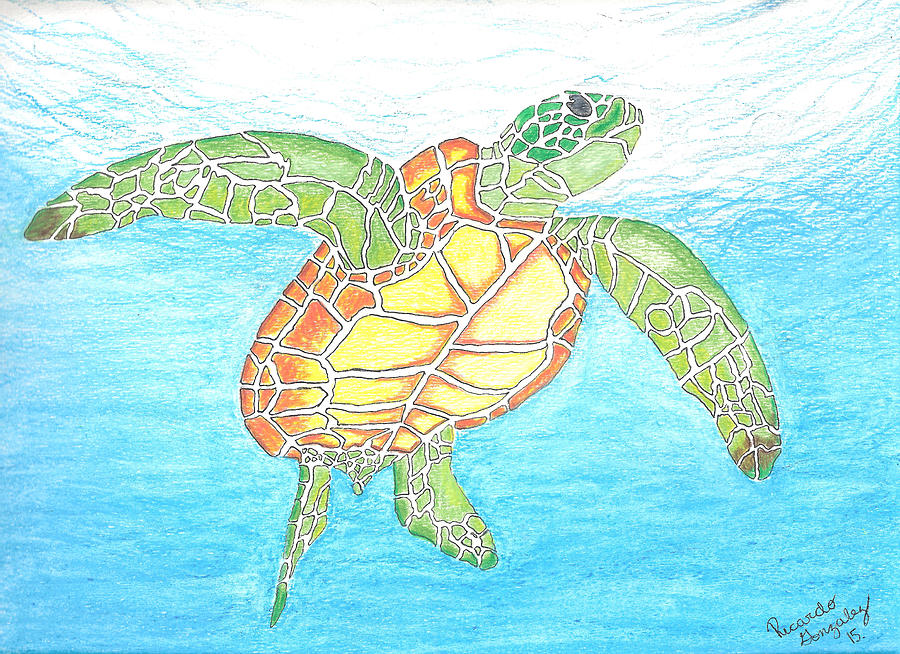 The Great Sea Turtle Pastel by Ricardo Gonzalez - Fine Art America