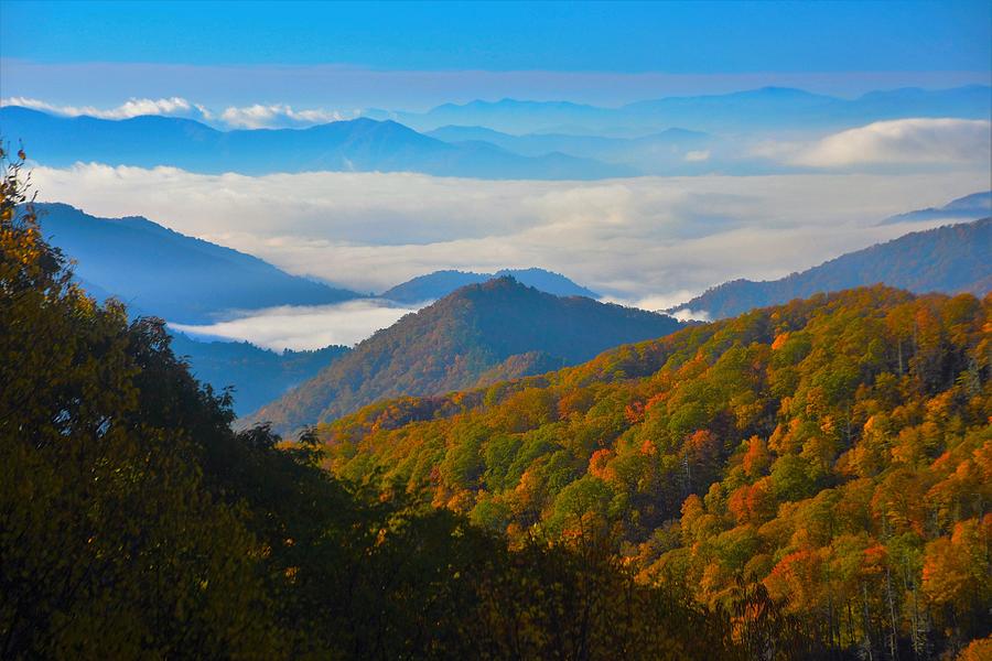 8 Tips To Ensure The Best Trip To The Great Smoky Mountains