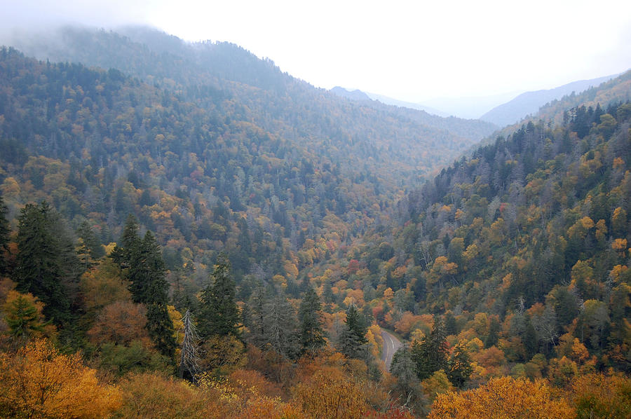 The Great Smoky Mountains 24 Photograph by Greg Straub - Fine Art America