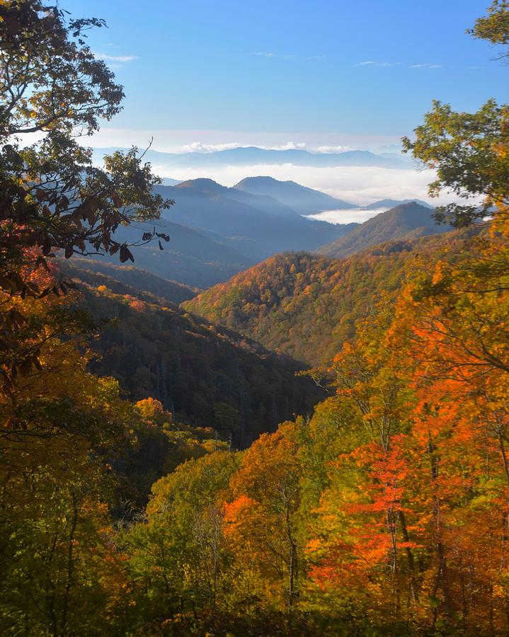 The Great Smoky Mountains 3 Photograph by Dennis Nelson | Fine Art America