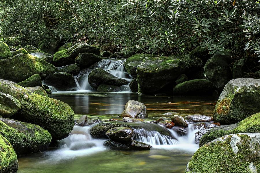 The Great Smoky Mountains Roaring Fork Motor Trail Cascades And Mossy Boulders Photograph by Carol Montoya