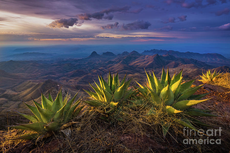 Big Bend National Park Photograph - Great Wide Open Texas by Inge Johnsson