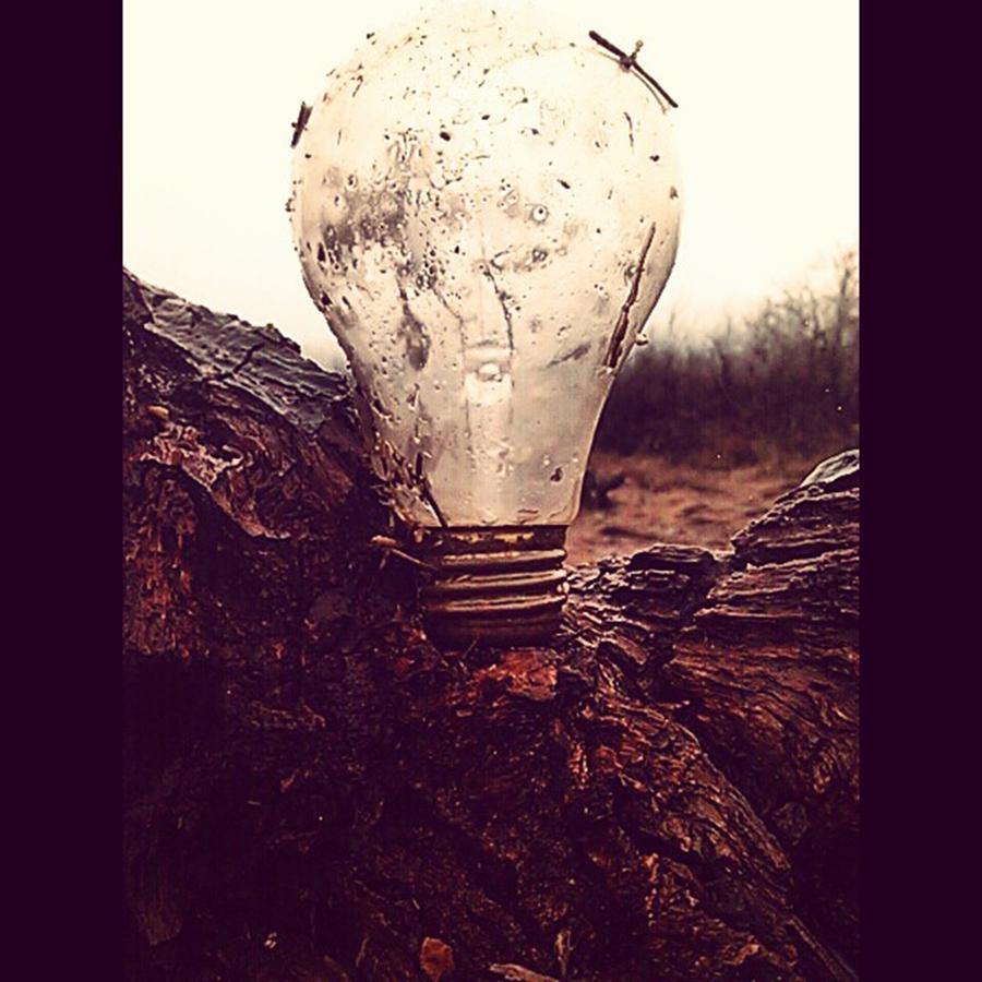 Lightbulb Photograph - The Greatest Minds Belong To Those Who by Caitlyn Jones
