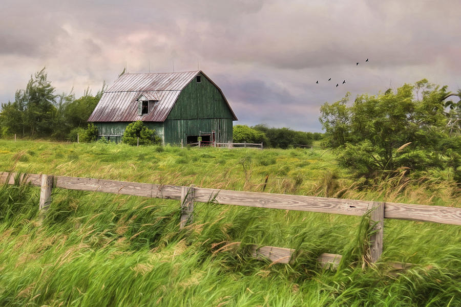 The Green Barn Photograph by Lori Deiter