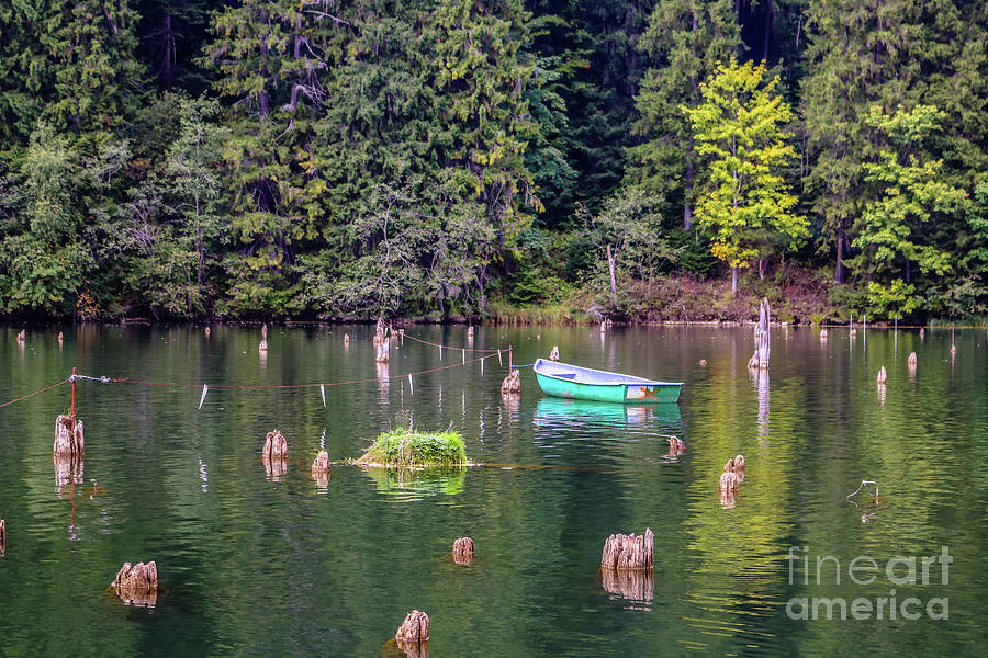 The green boat on the Red Lake Photograph by Claudia M Photography