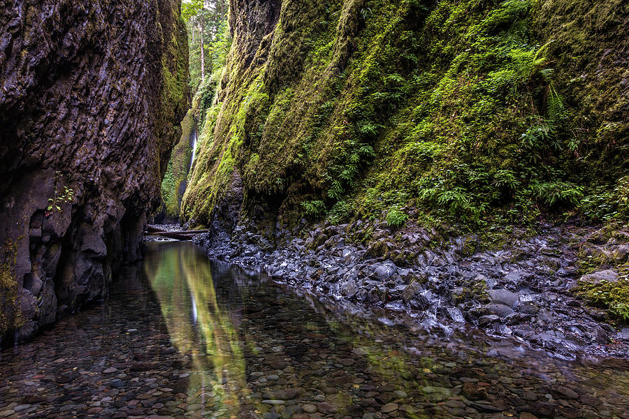 The Green Canyon of Oregon Photograph by Pierre Leclerc Photography