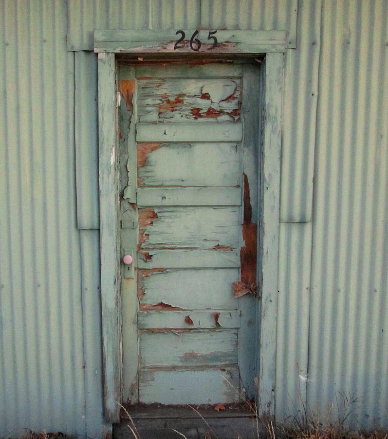 Old Green Door Photograph by Dreamweaver Gallery