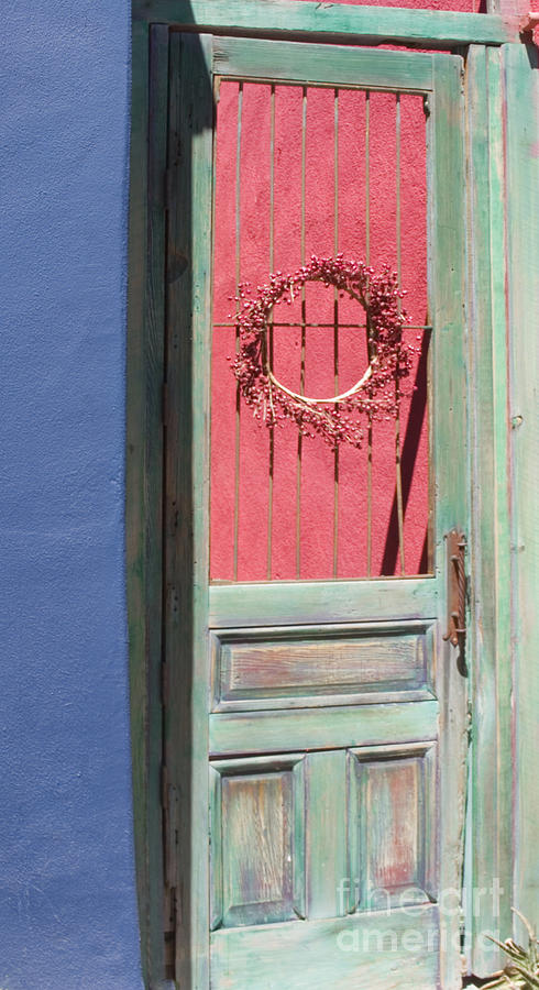 The Green Door Photograph by Elvira Butler