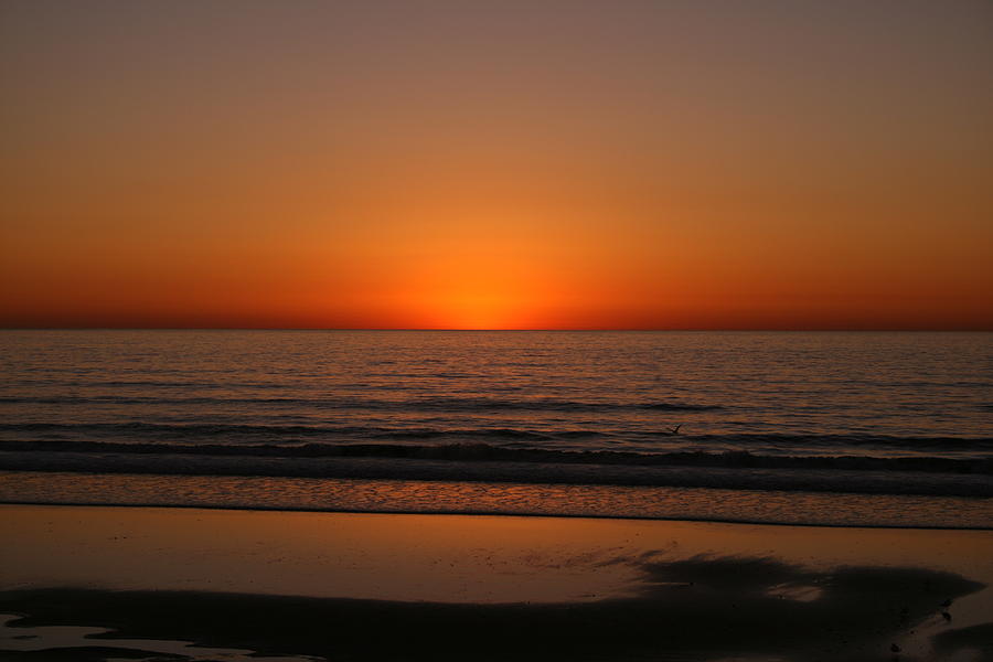 The Green Flash Photograph by MAriO VAllejO - Fine Art America