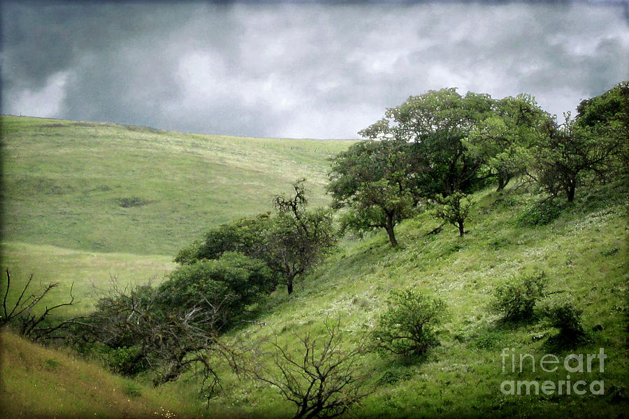 The Green Hills of Home Photograph by Ellen Cotton