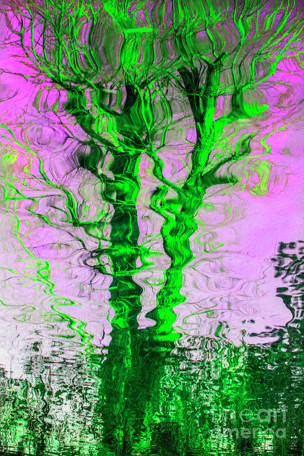 The Green Ivy Tree Reflection Mixed Media by Daliana Pacuraru