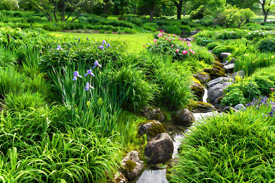 The Green Magic of Summer - a Luscious Garden Digital Art by Georgia Mizuleva