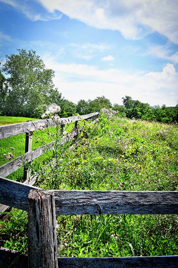 The Green Meadow Photograph by Doug Swanson - Fine Art America