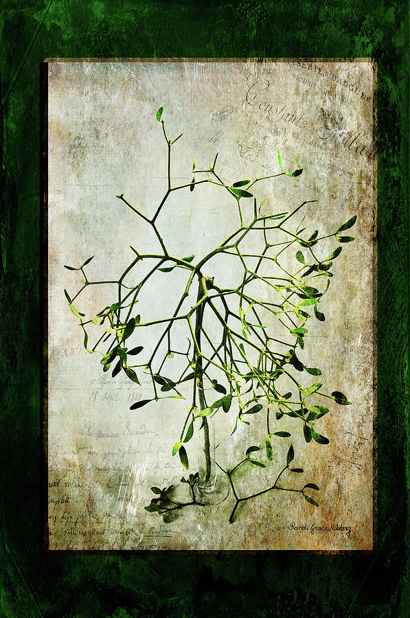 Vase Photograph - The Green Myth by Randi Grace Nilsberg