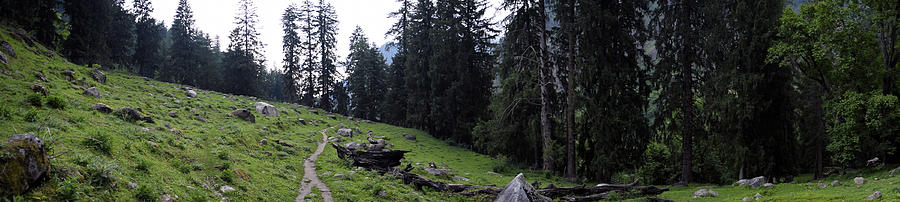The green panorama Photograph by Sumit Mehndiratta