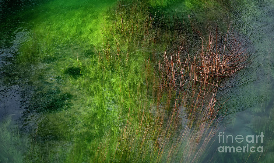 The Green River Photograph by Hernan Bua