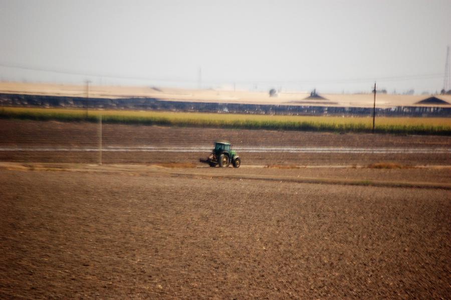 The green Tractor Photograph by Maria Aduke Alabi