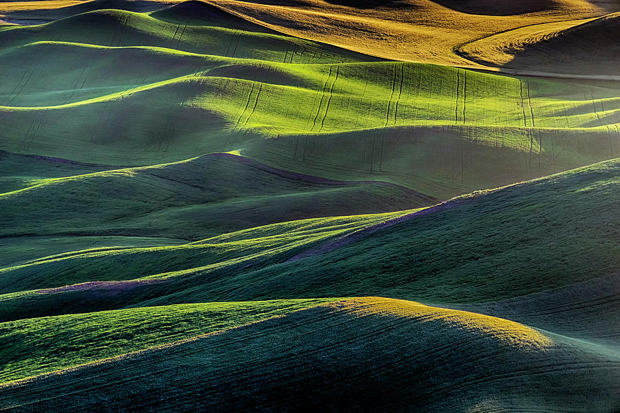 The Green Waves of Palouse WA DSC05032  Photograph by Greg Kluempers