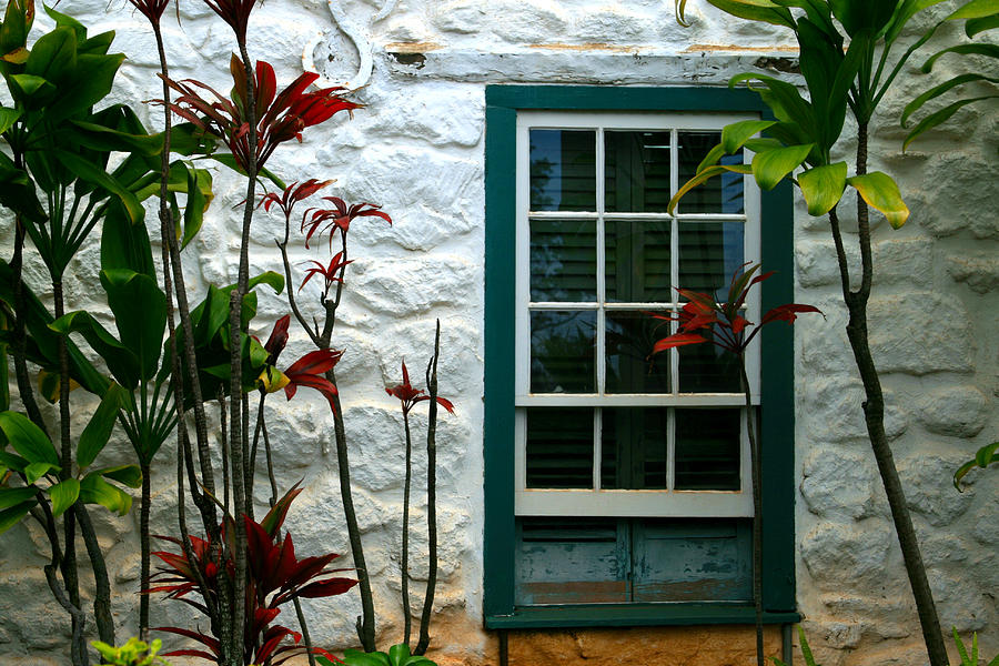 The Green Window Photograph by Karon Melillo DeVega