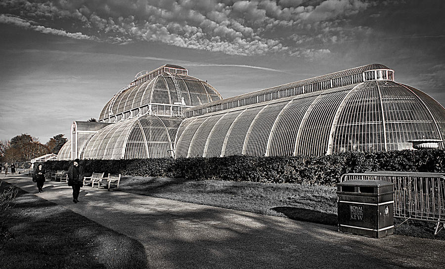 Greenhouse Photograph - The Greenhouse  at Kew Gardens  by David Resnikoff