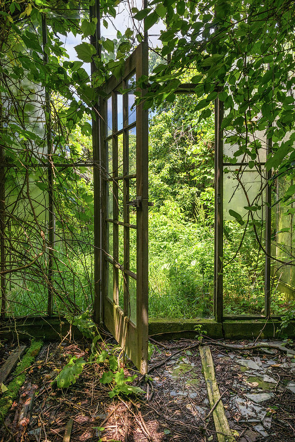 The Greenhouse Door by Lindy Grasser The Greenhouse Door by Lindy Grasser