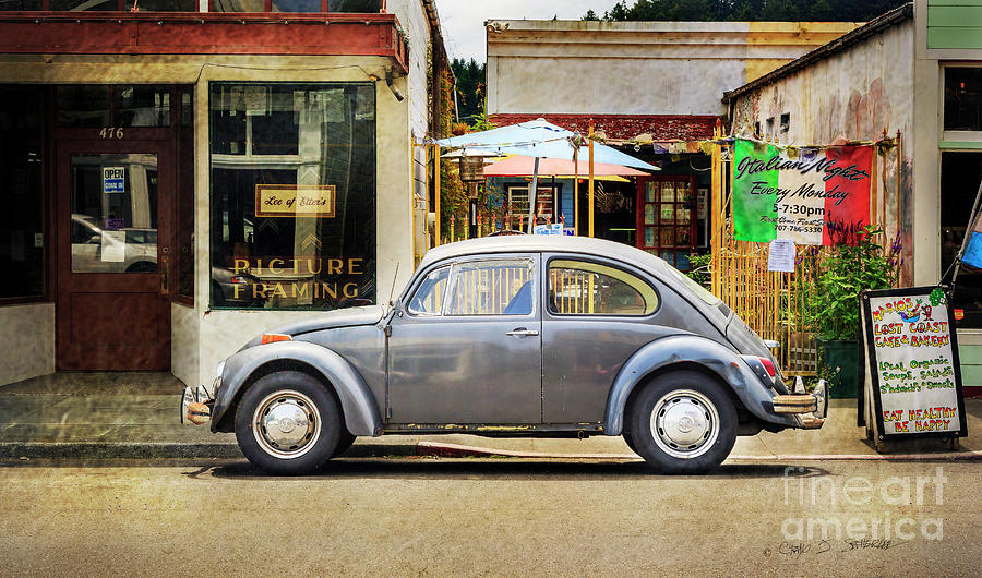 The Grey Beetle Photograph by Craig J Satterlee