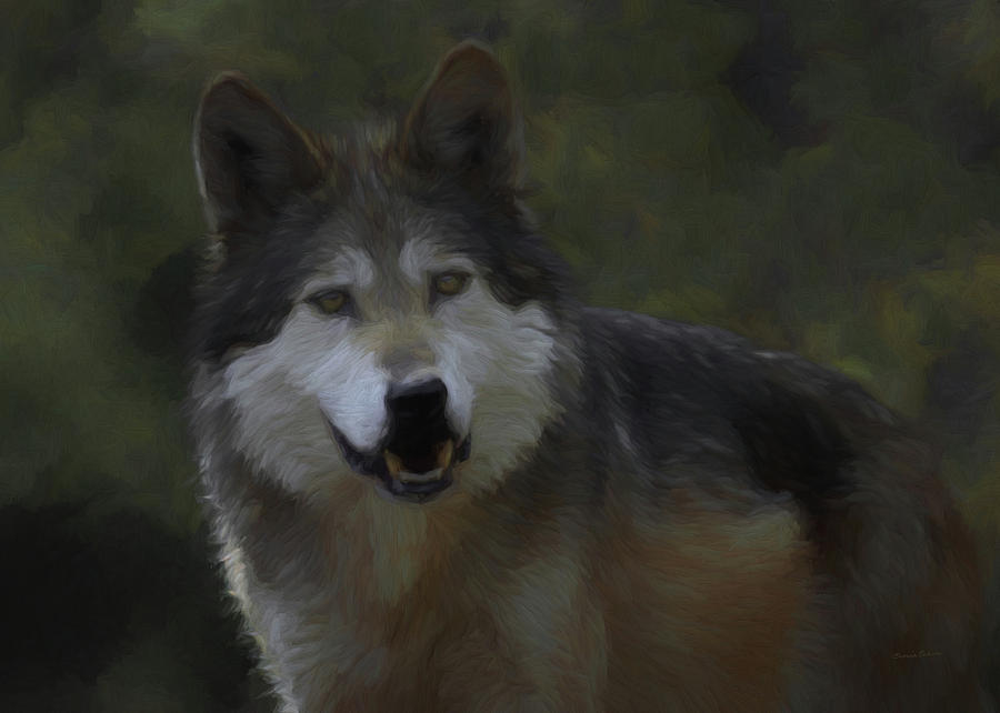 The Grey Wolf Digital Art by Ernest Echols