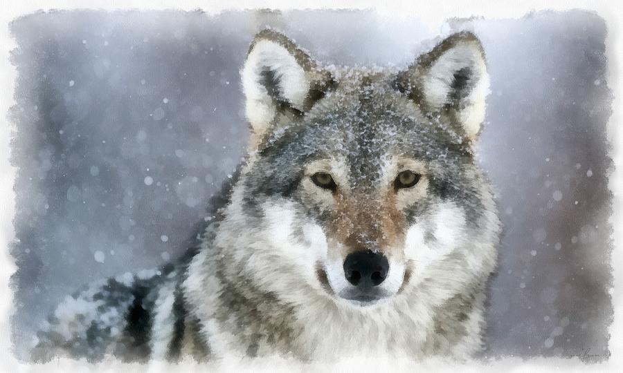 Winter Painting - The Grey Wolf by Maciek Froncisz