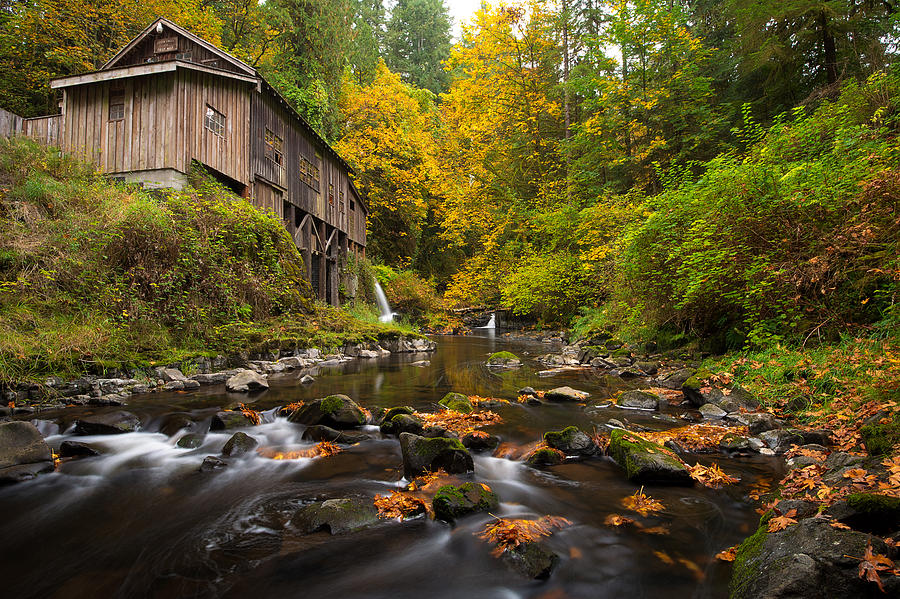 The Cedar Creek Grist Mill #2 Photograph by Patrick Campbell