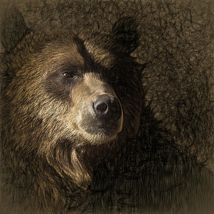 The Grizzly 3 Digital Art by Ernest Echols