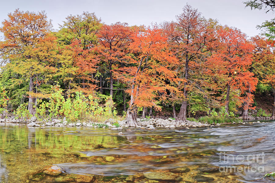 Fall Photograph - The Guadalupe River As It Makes Its Way Through Gruene - New Braunfels - Texas Hill Country II by Silvio Ligutti