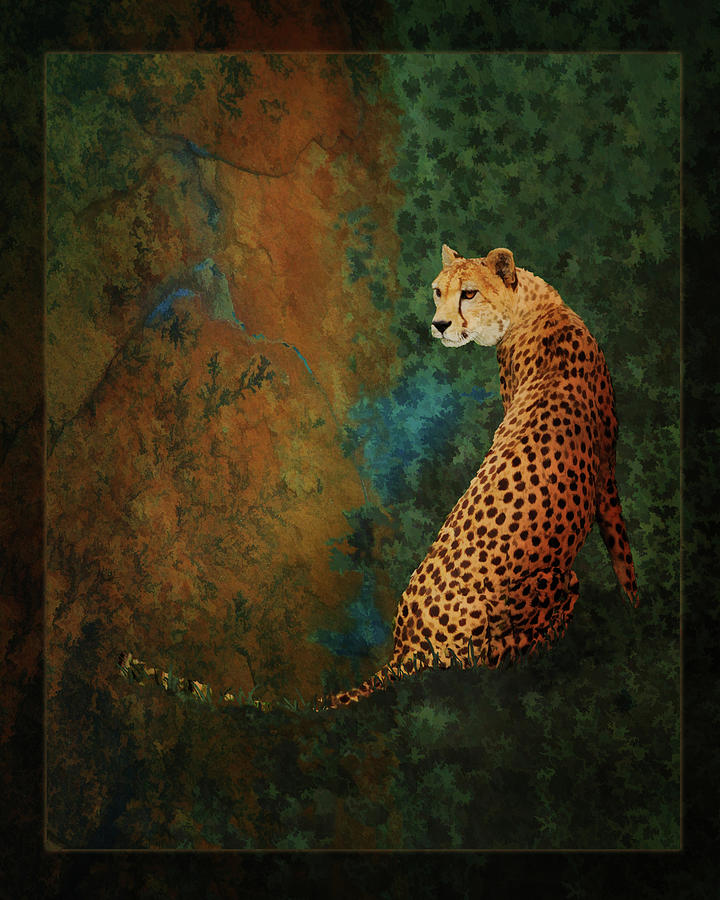 Cheetah Photograph - The Guard at the Temple by Melinda Hughes-Berland