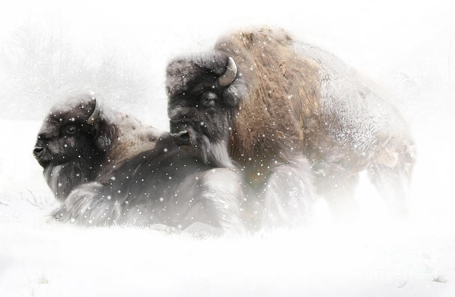 Buffalo Painting - The Guardian II falling snow by Lynn Jackson