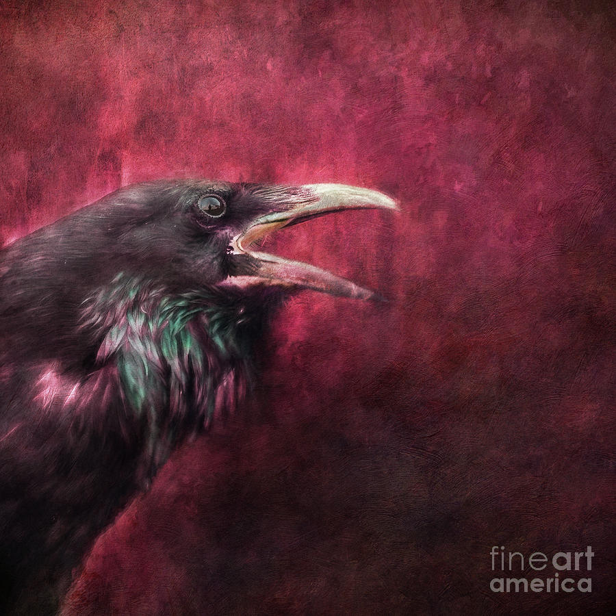 Raven Photograph - The Guardian by Priska Wettstein