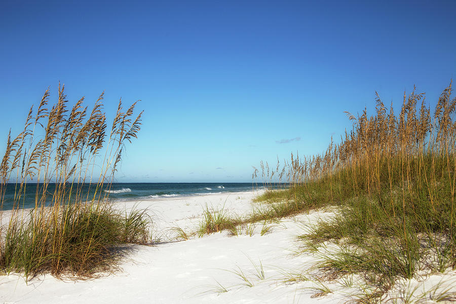 The Gulf of Mexico Photograph by Cliff Middlebrook - Fine Art America