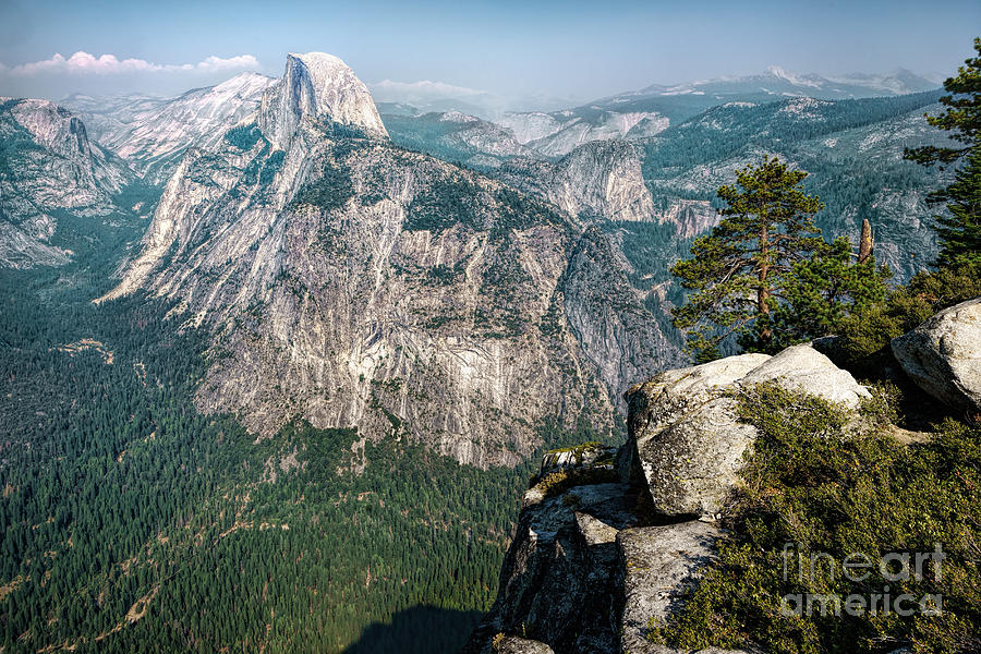 The Half Dome Yosemite Np Photograph