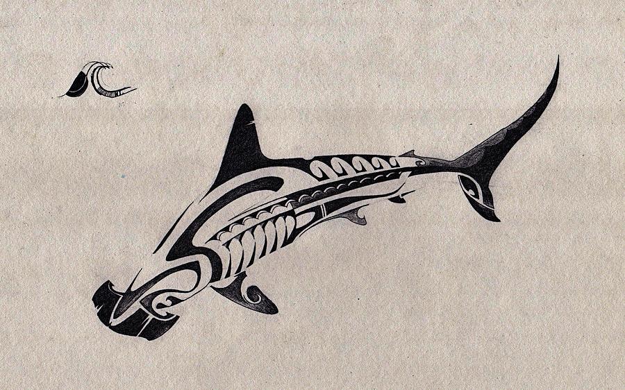 shark skeleton drawing