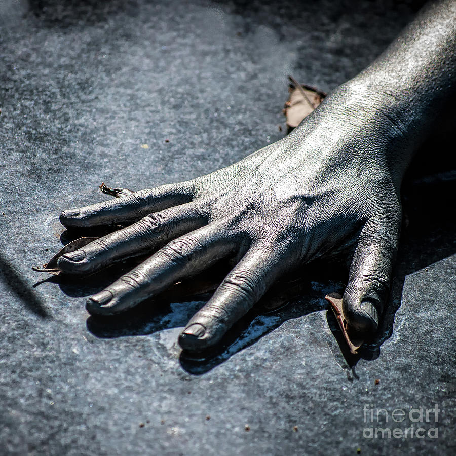 The Hand Squared Photograph by Kathleen K Parker