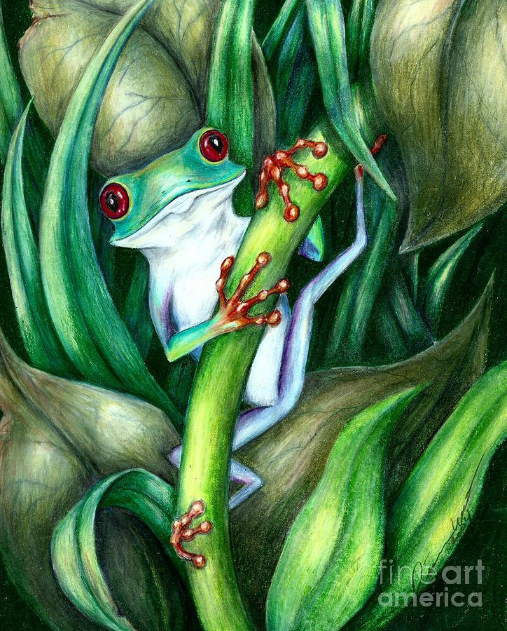 Frog Drawing - The happy Frog by Dianna West