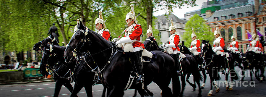 The Happy Horse Guard Photograph by Marina McLain