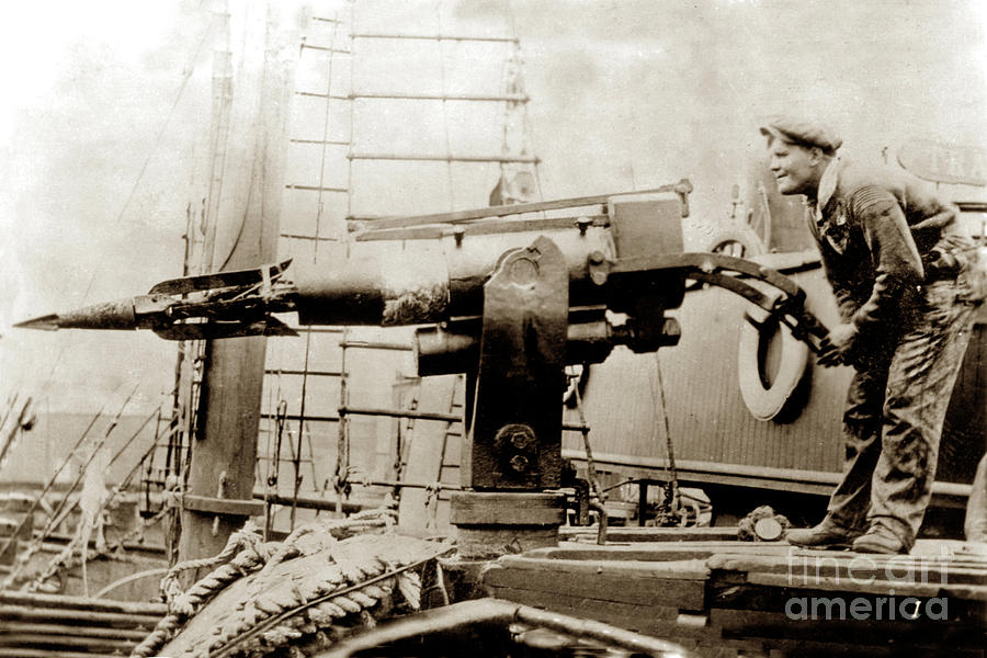The Harpoon Gun Gun on a whaling ship 1915 Photograph by Monterey County Historical Society