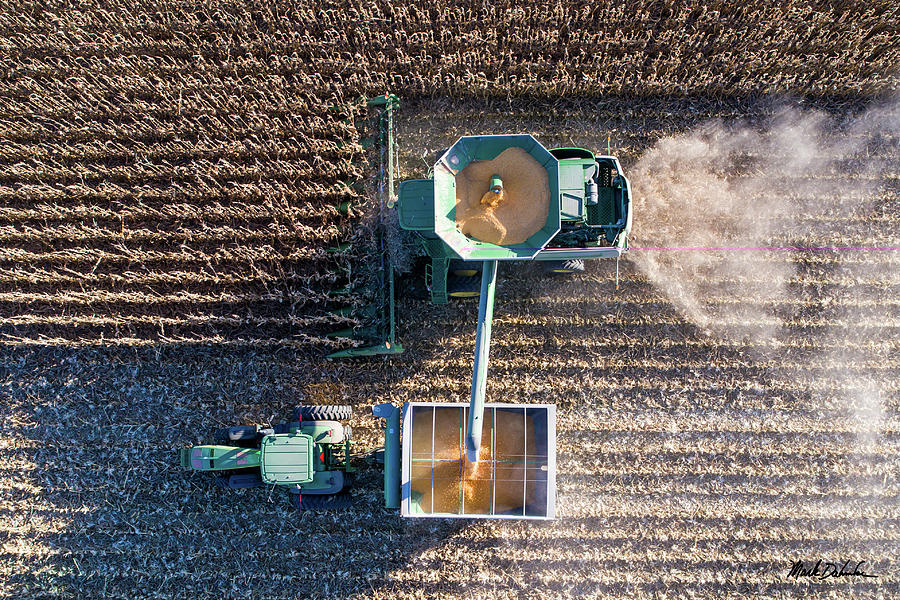 The Harvest Photograph by Mark Dahmke