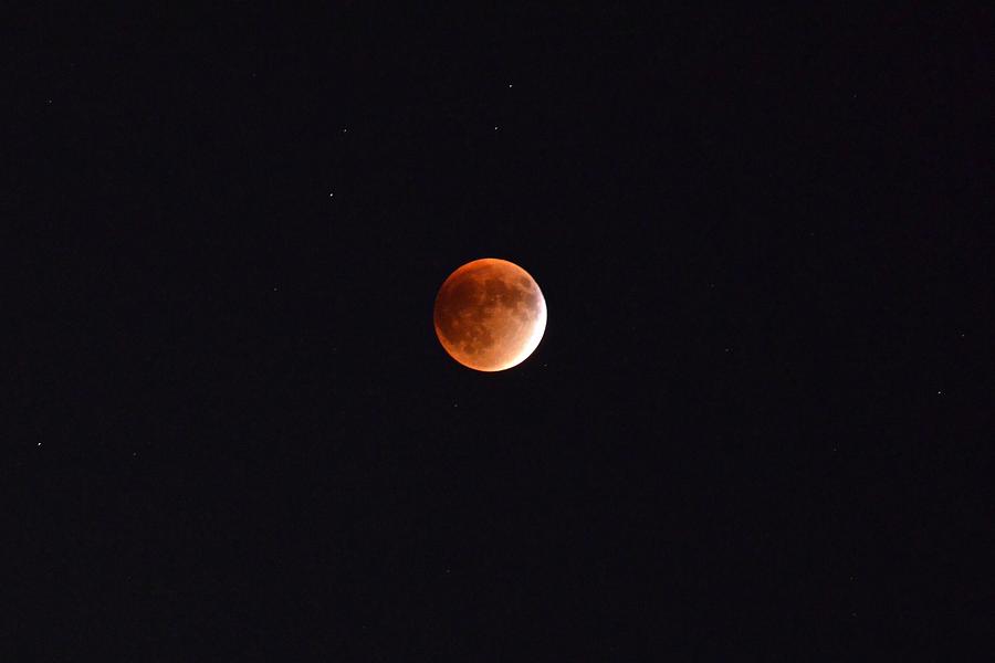 The harvest Moon Lunar Eclipse Photograph by Patrick Byrnes Pixels