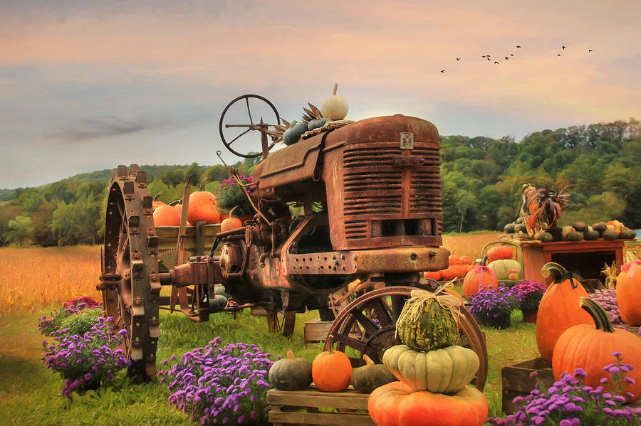 Vintage Photograph - The Harvester by Lori Deiter