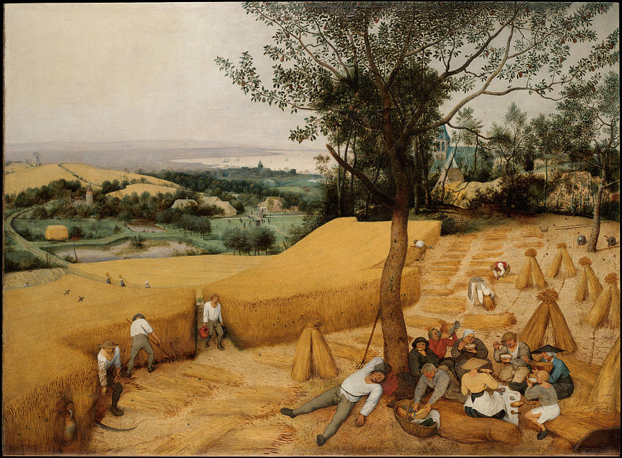 The Harvesters by Pieter Bruegel the Elder                             Painting by Pieter Bruegel the Elder