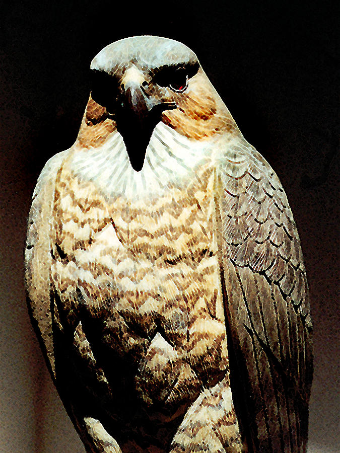 The Hawk Painting by Paul Sachtleben