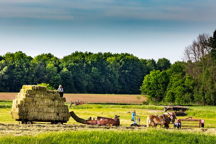The Hay Bales Photograph by Brent Buchner